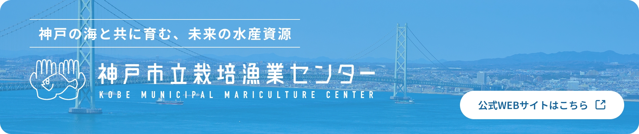 神戸の海と共に育む、未来の水産資源 神戸市立栽培漁業センター 公式WEBサイトはこちら