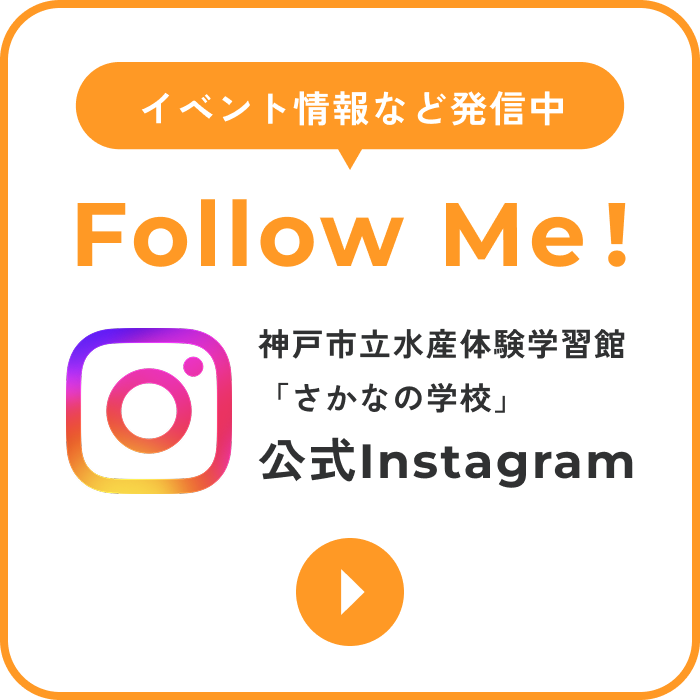 イベント情報など発信中 Follow Me! 神戸市立水産体験学習館「さかなの学校」公式Instagram